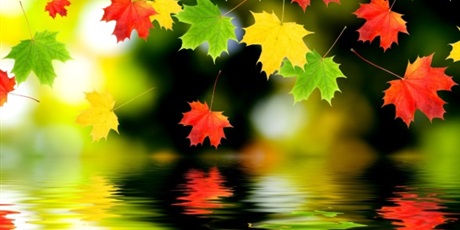Powiększ grafikę: jesien-w-kolorach-wystawa-96777.jpg