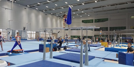 Powiększ grafikę: otwarte-mistrzostwa-gdanska-w-gimnastyce-sportowej-mlodzikow-kl-iii-383737.jpg
