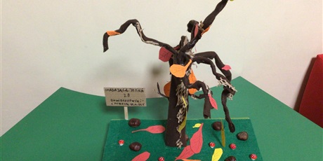 Powiększ grafikę: dzien-spadajacego-liscia-wyniki-konkursu-650446.jpg