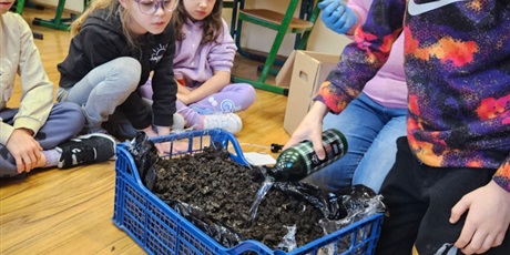 Powiększ grafikę: pieczarki-z-klasa-660297.jpg