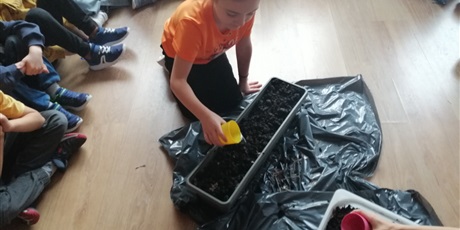 Powiększ grafikę: pieczarki-z-klasa-660304.jpg