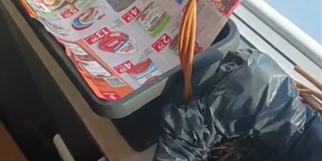 Powiększ grafikę: pieczarki-z-klasa-660687.jpg