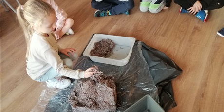 Powiększ grafikę: pieczarki-z-klasa-660691.jpg