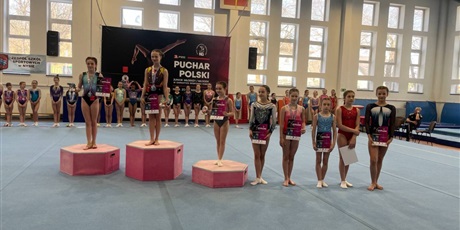 Powiększ grafikę: puchar-polski-w-gimnastyce-sportowej-kobiet-601085.jpg