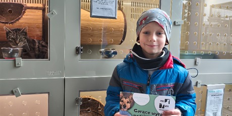 Powiększ grafikę: zakonczenie-akcji-charytatywnej-zbiorka-darow-dla-schroniska-promyk-w-gdansku-652014.jpg