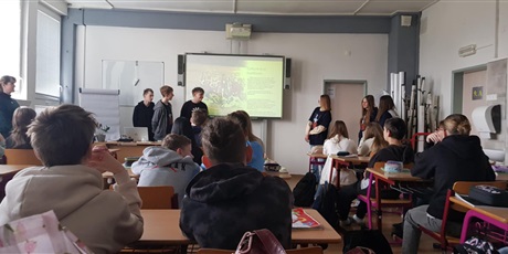Powiększ grafikę: Działania projektowe